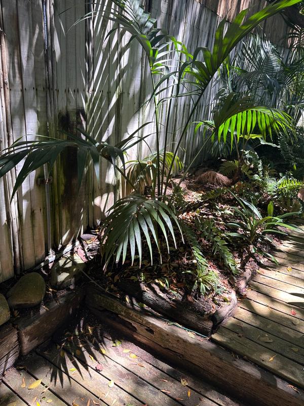 To Let 0 Bedroom Property for Rent in Chapman